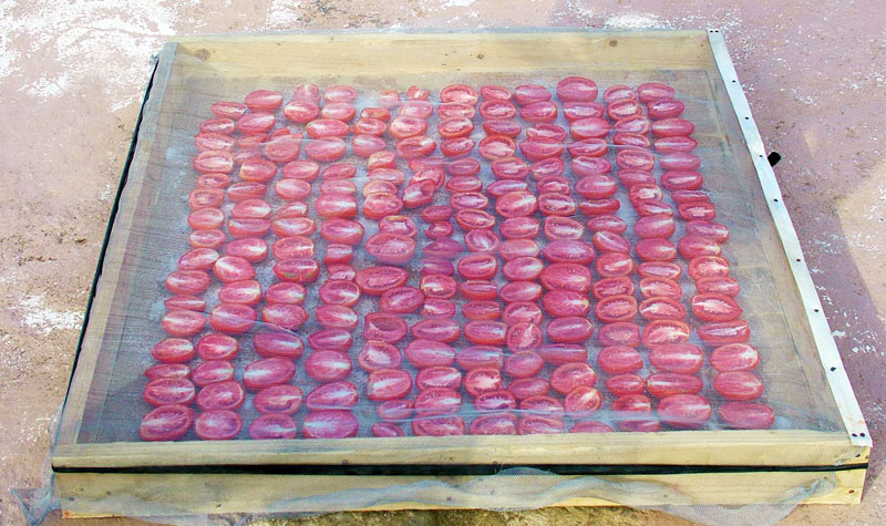 pomodori-essiccati-al-sole